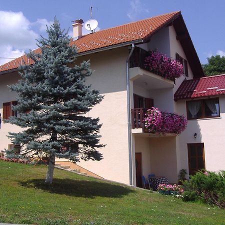 Guesthouse Hodak Selište Drežničko Buitenkant foto