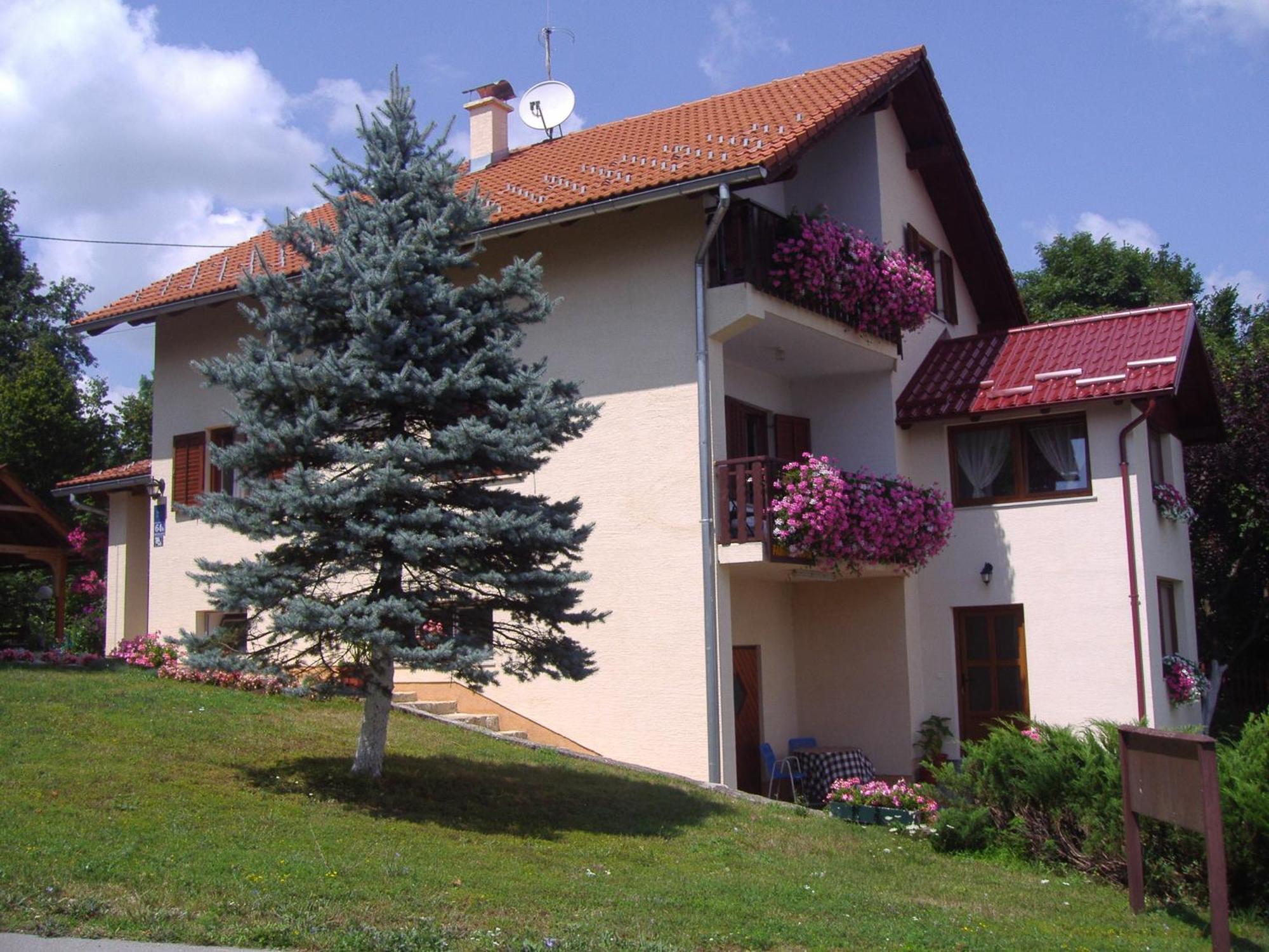 Guesthouse Hodak Selište Drežničko Buitenkant foto