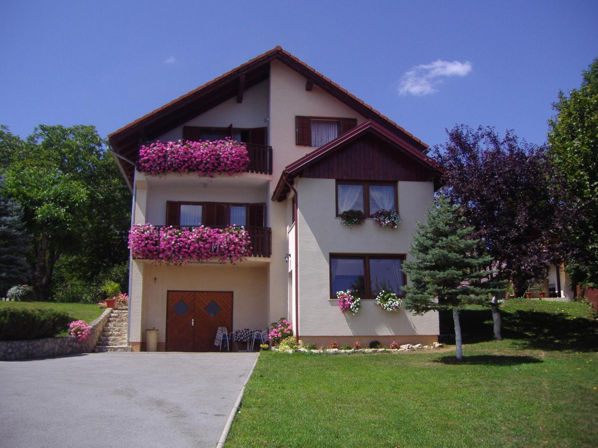 Guesthouse Hodak Selište Drežničko Buitenkant foto