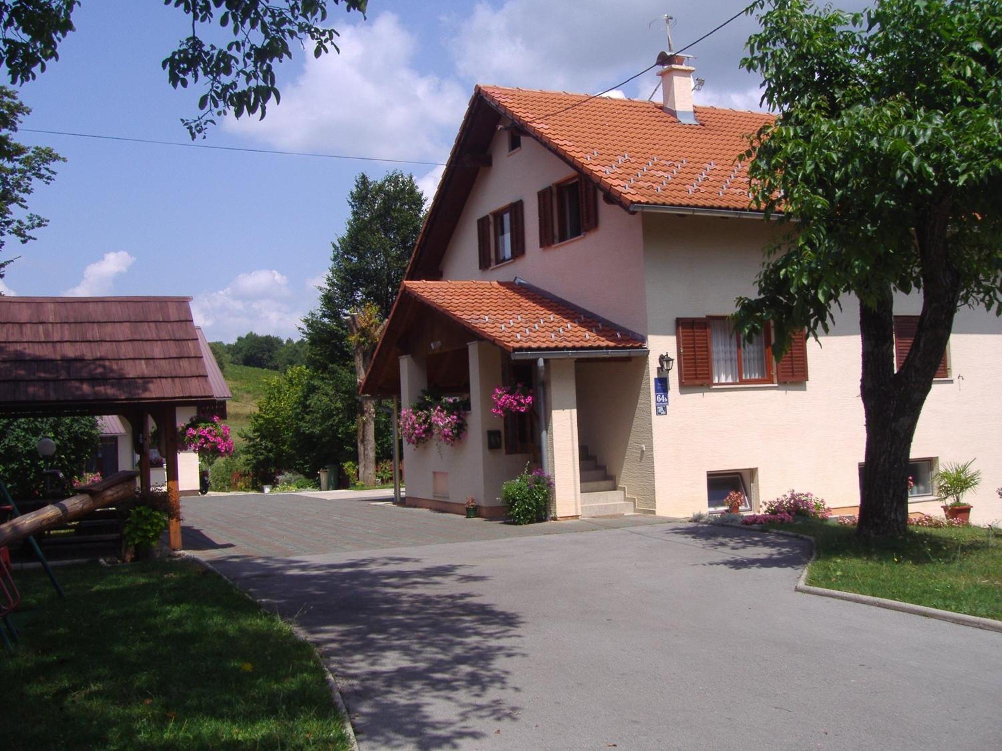 Guesthouse Hodak Selište Drežničko Buitenkant foto